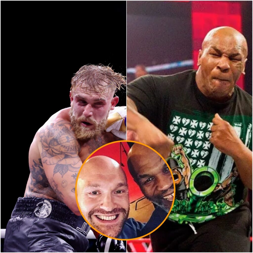 EVERYONE AGREED WHEN TYSON FURY PREDICTED MIKE TYSON VS JAKE PAUL FIGHT ...